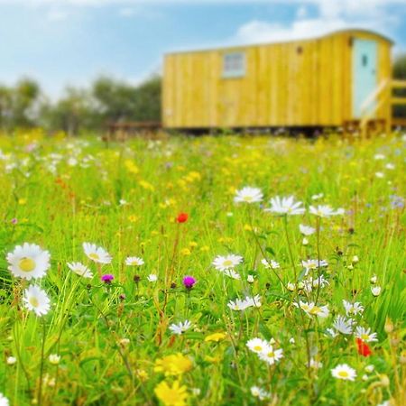 Honeysuckle Farm Holidays By Stay In Suffolk, Monk Soham 伍德布里奇 外观 照片