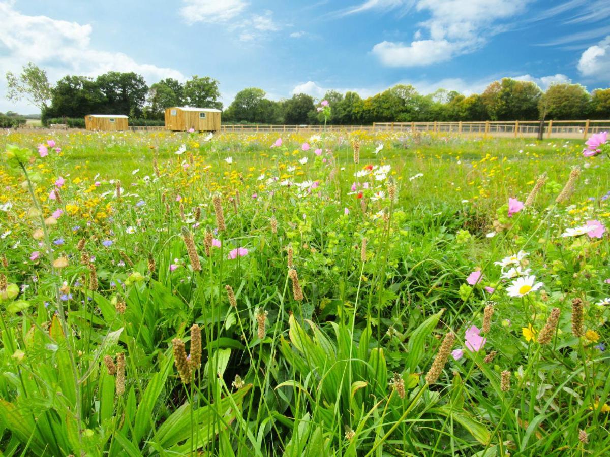 Honeysuckle Farm Holidays By Stay In Suffolk, Monk Soham 伍德布里奇 外观 照片