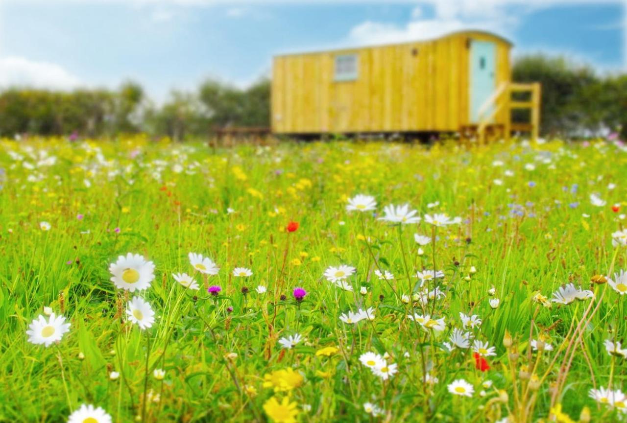 Honeysuckle Farm Holidays By Stay In Suffolk, Monk Soham 伍德布里奇 外观 照片